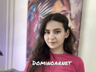 Dominoarnet