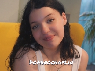 dominochaplin Ochranne Siete