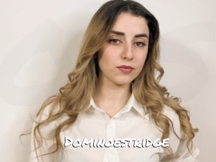Dominoestridge