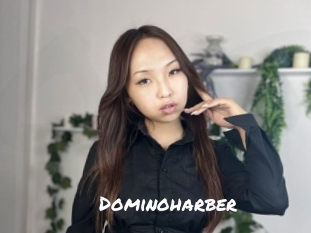 Dominoharber