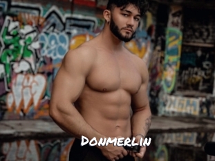 Donmerlin
