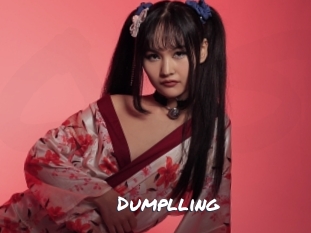 dumplling Ochranne Siete