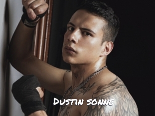 dustin_sonne Ochranne Siete