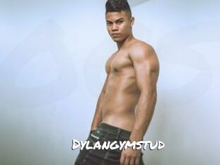 Dylangymstud