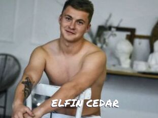 ELFIN_CEDAR