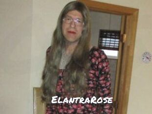 Elantra_Rose Ochranne Siete