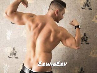 ErwinErv