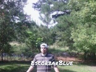 Escorbar_Blue