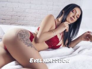 EvelynAddison
