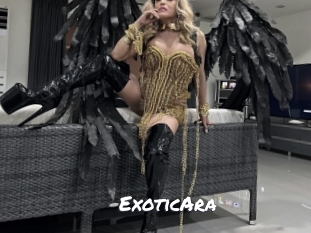 ExoticAra Ochranne Siete