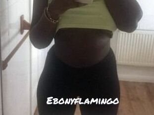 Ebony_flamingo