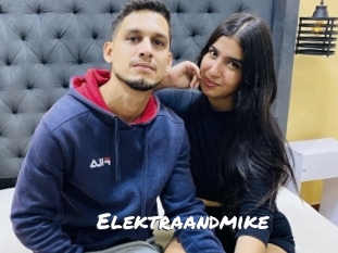 Elektraandmike