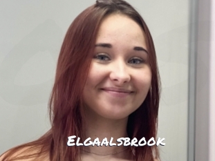 Elgaalsbrook