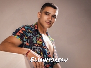 elianmoreau Ochranne Siete