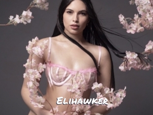 Elihawker