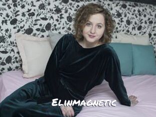 Elinmagnetic