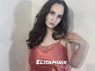 Elisaminix