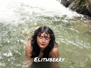 elithberry Ochranne Siete