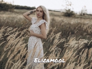 Elizamool