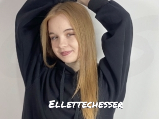 ellettechesser Ochranne Siete