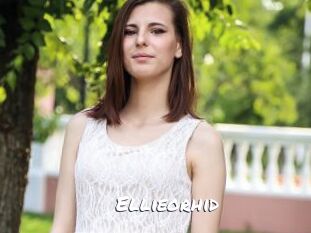 Ellieorhid