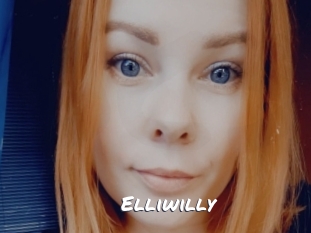 elliwilly Ochranne Siete