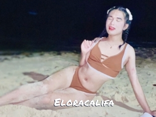 eloracalifa Ochranne Siete