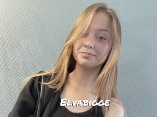 Elvabigge
