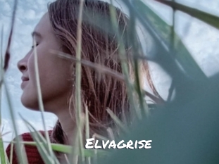 elvagrise Ochranne Siete
