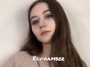 Elviaamber