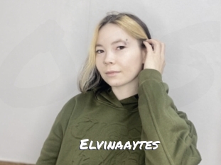 Elvinaaytes