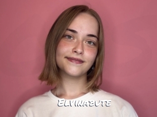 Elvinabute