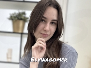 Elvinagomer