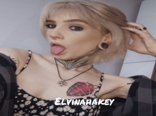 elvinahakey Ochranne Siete
