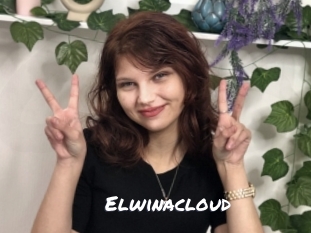 Elwinacloud