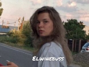 Elwinebuss