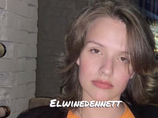 elwinedennett Ochranne Siete