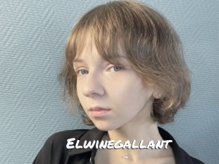 Elwinegallant