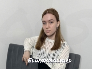 Elwynabolyard