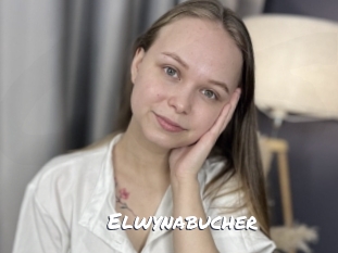 elwynabucher Ochranne Siete
