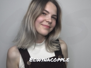 Elwynacopple