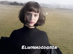 elwynadodgson Ochranne Siete