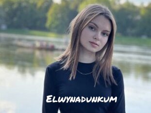 Elwynadunkum