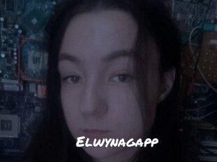 Elwynagapp