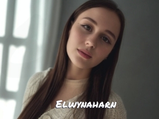 elwynaharn Ochranne Siete