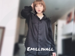 emillyhall Ochranne Siete