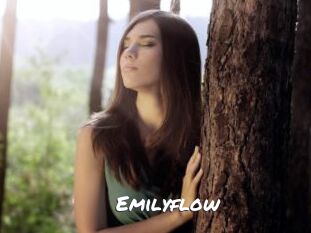 emilyflow Ochranne Siete