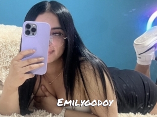 emilygodoy Ochranne Siete