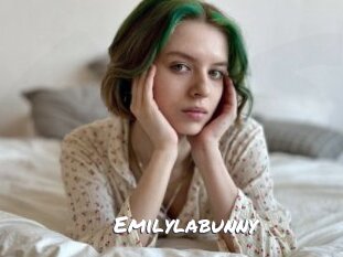 Emilylabunny