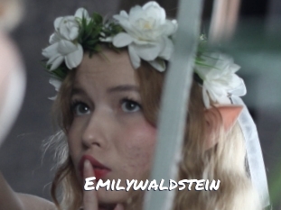 emilywaldstein Ochranne Siete